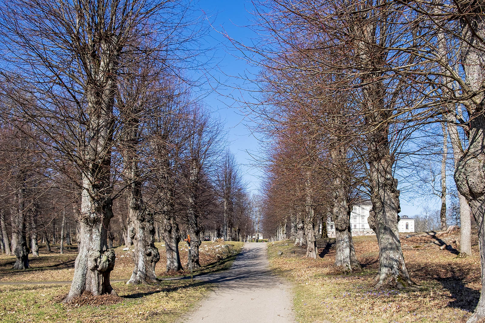 Rosersbergs slott allé