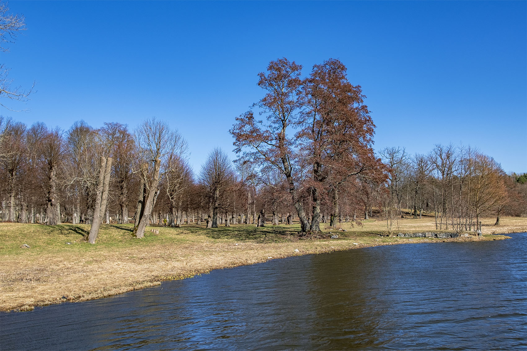 En av Mälarens vikar