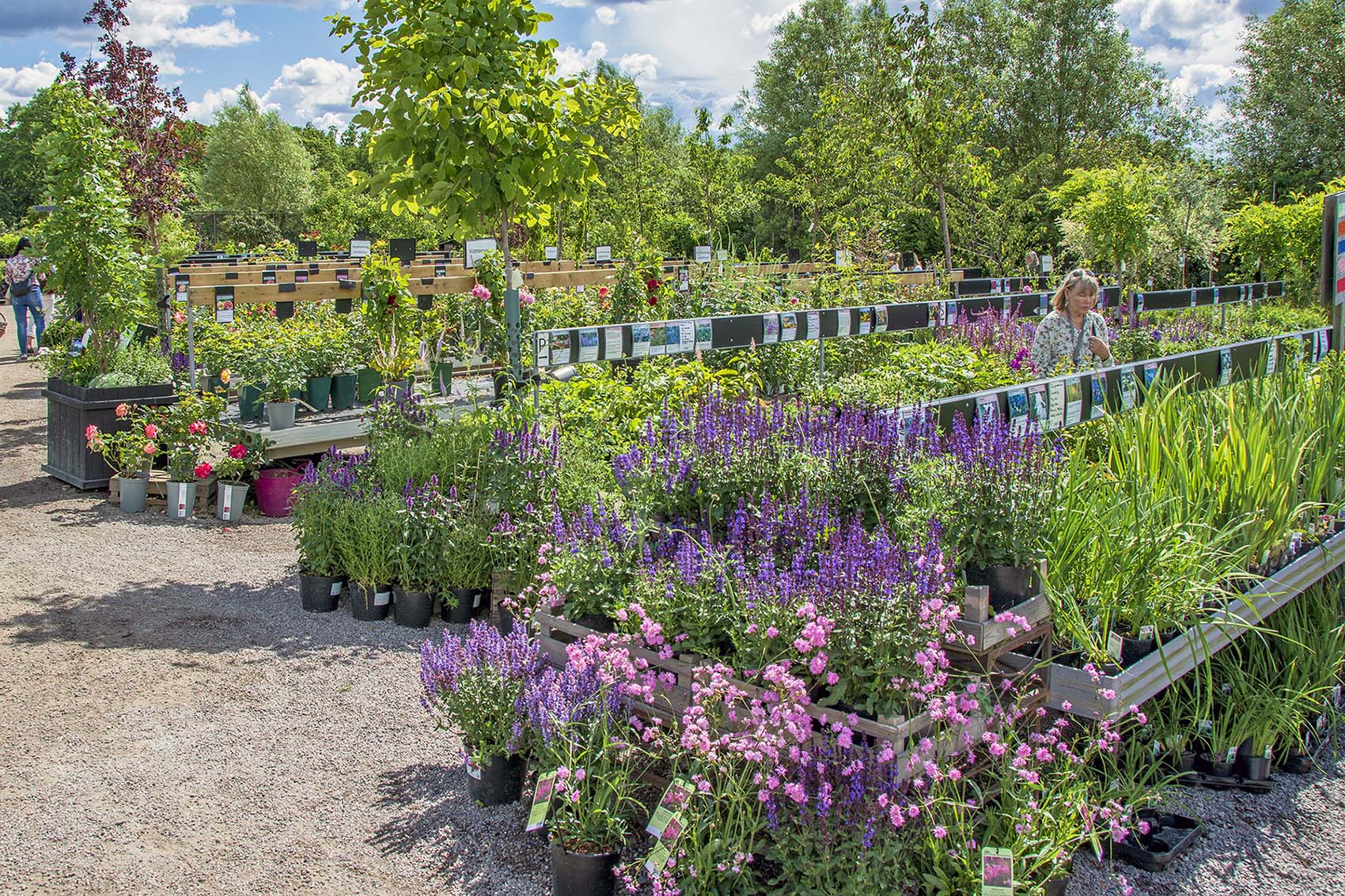 Slottsträdgården Ulriksdal