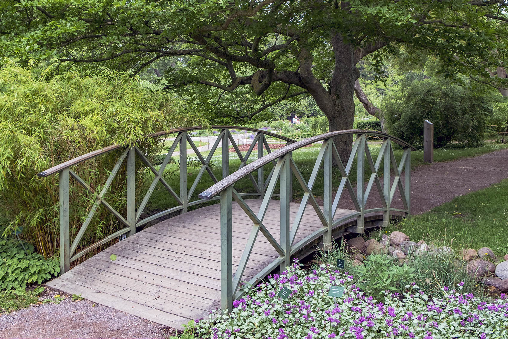 Botaniska trädgården