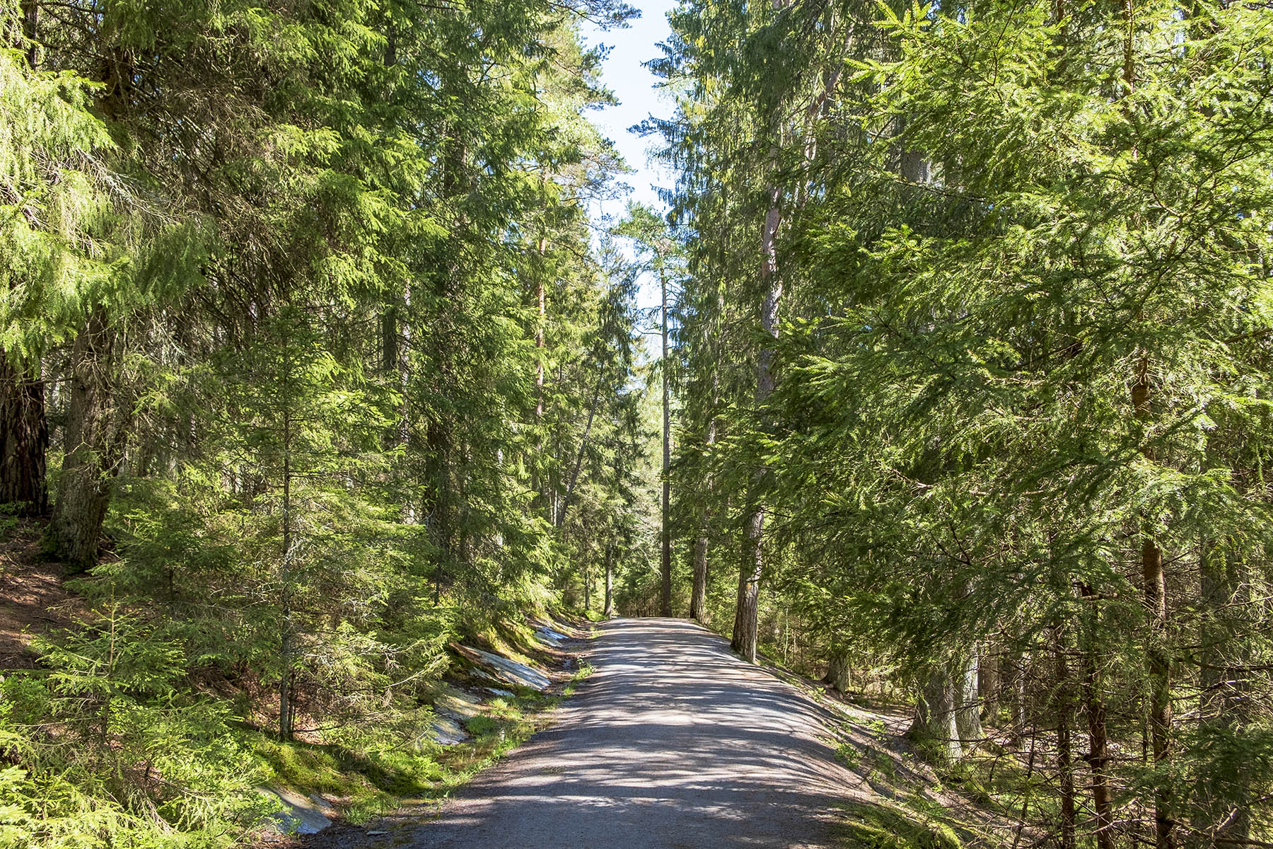 Barnvagnsslingan Tyresta Nationalpark