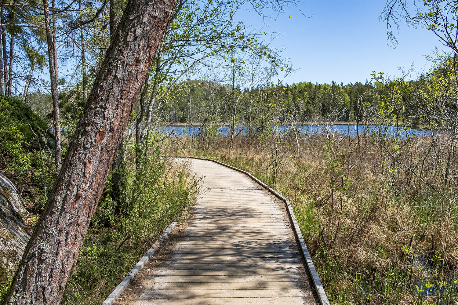 Barnvagnsslingan Tyresta Nationalpark