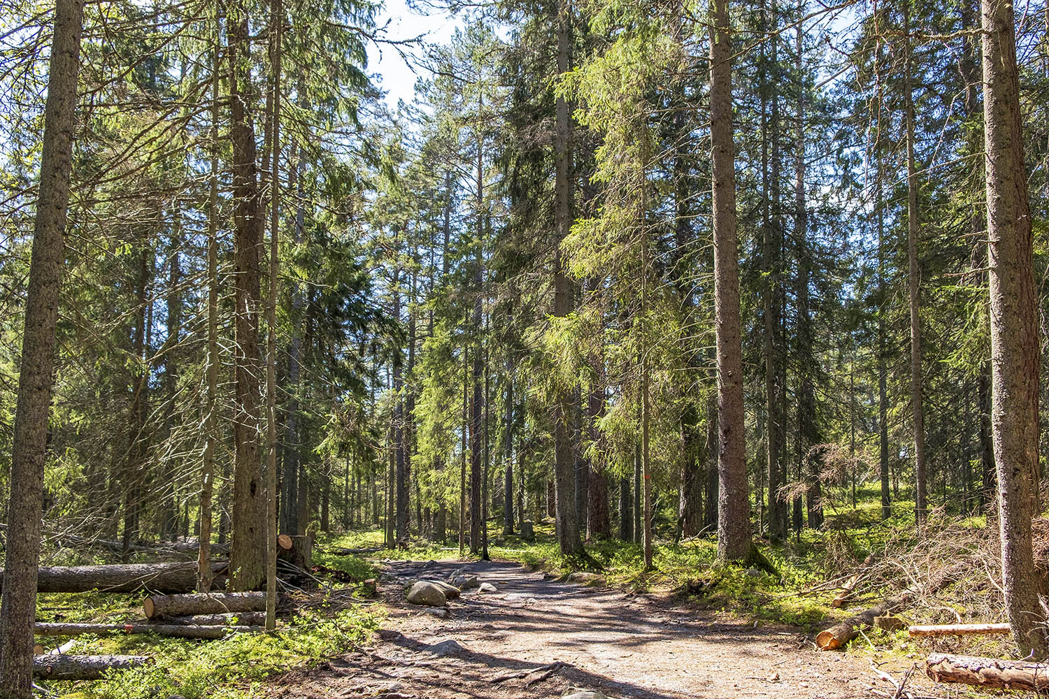 Barnvagnsslingan Tyresta Nationalpark