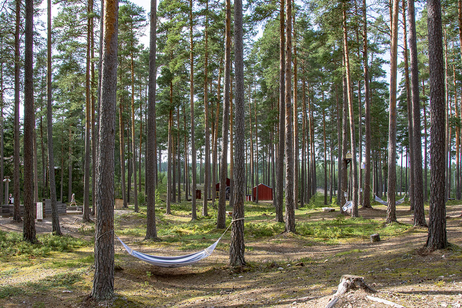 Upplevelseskogen Filmbyn Småland Mariannelund