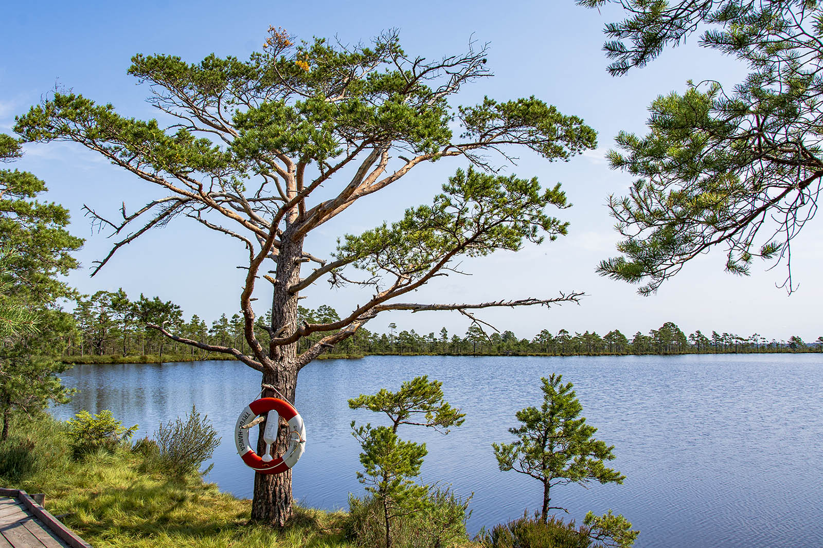 Svartgölen Store Mosse Nationalpark