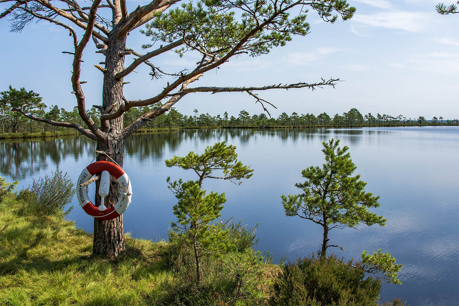 Svartgölen Store Mosse Nationalpark