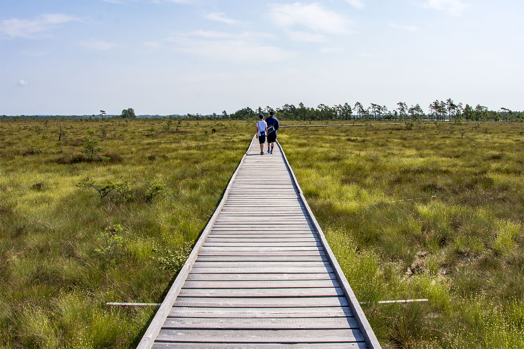 Svartgölsleden Store Mosse Nationalpark