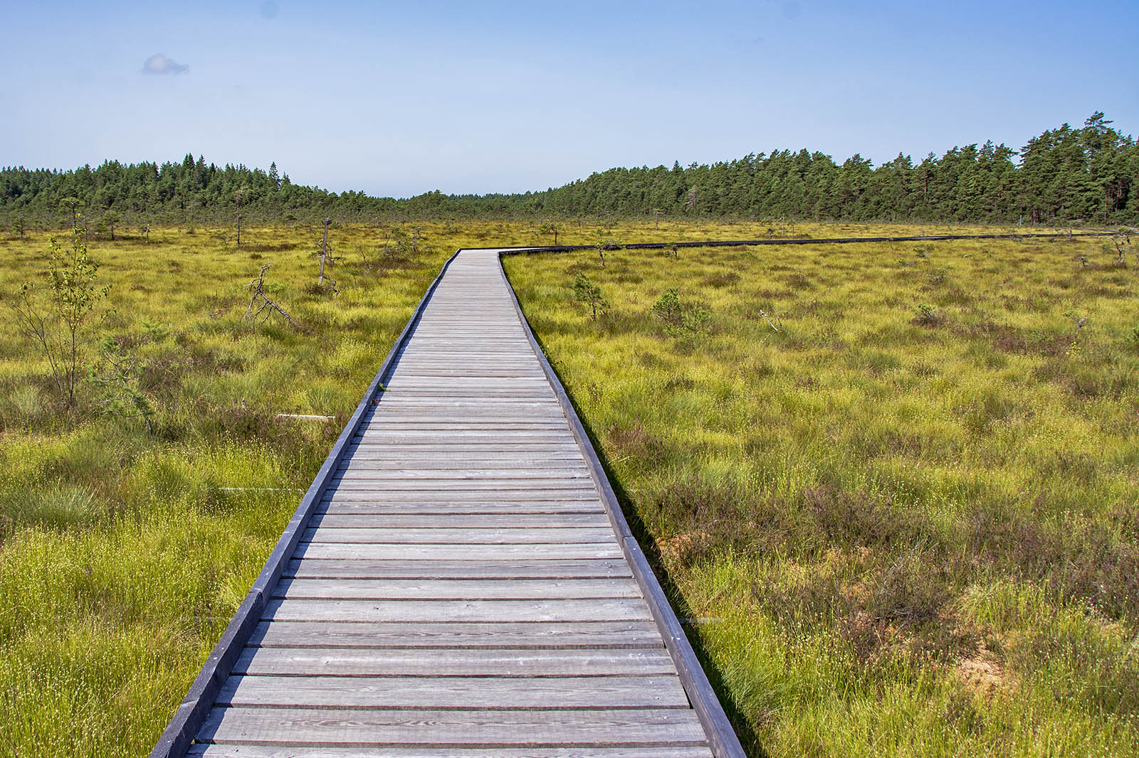 Svartgölsleden Store Mosse Nationalpark