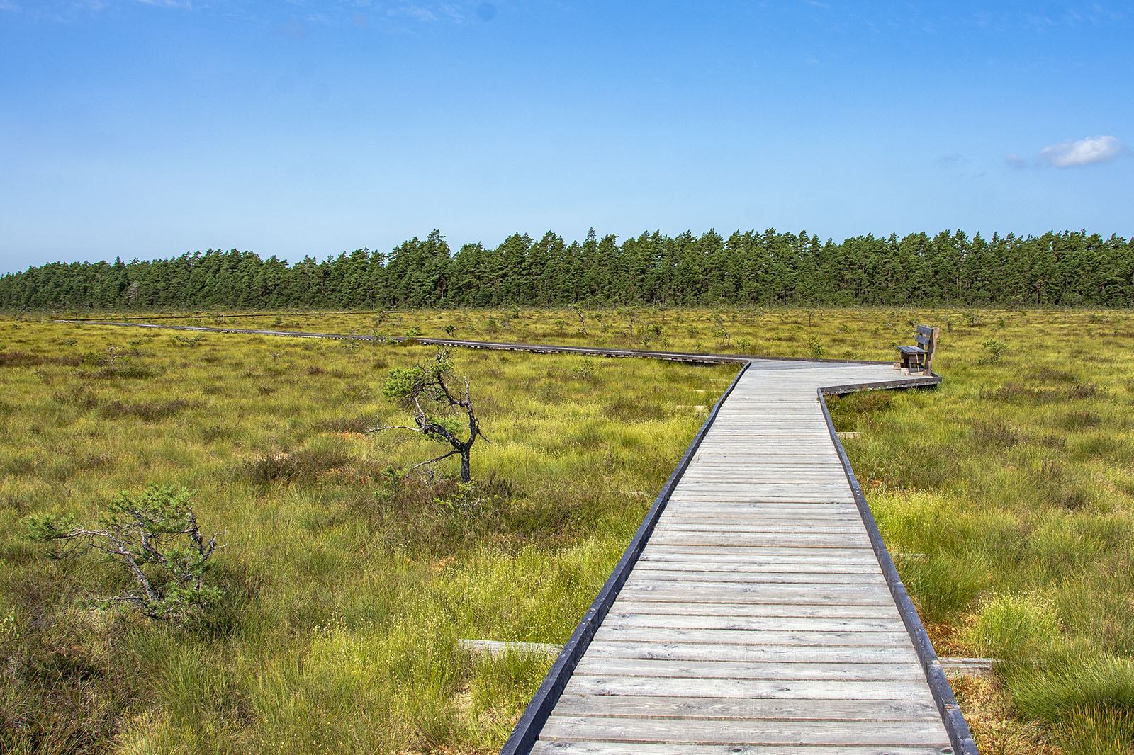 Store Mosse Nationalpark