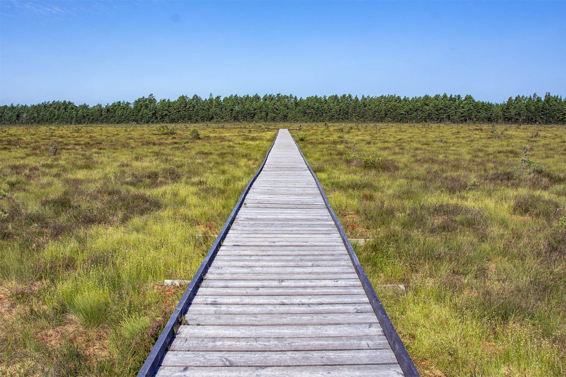Svartgölsleden Store Mosse Nationalpark