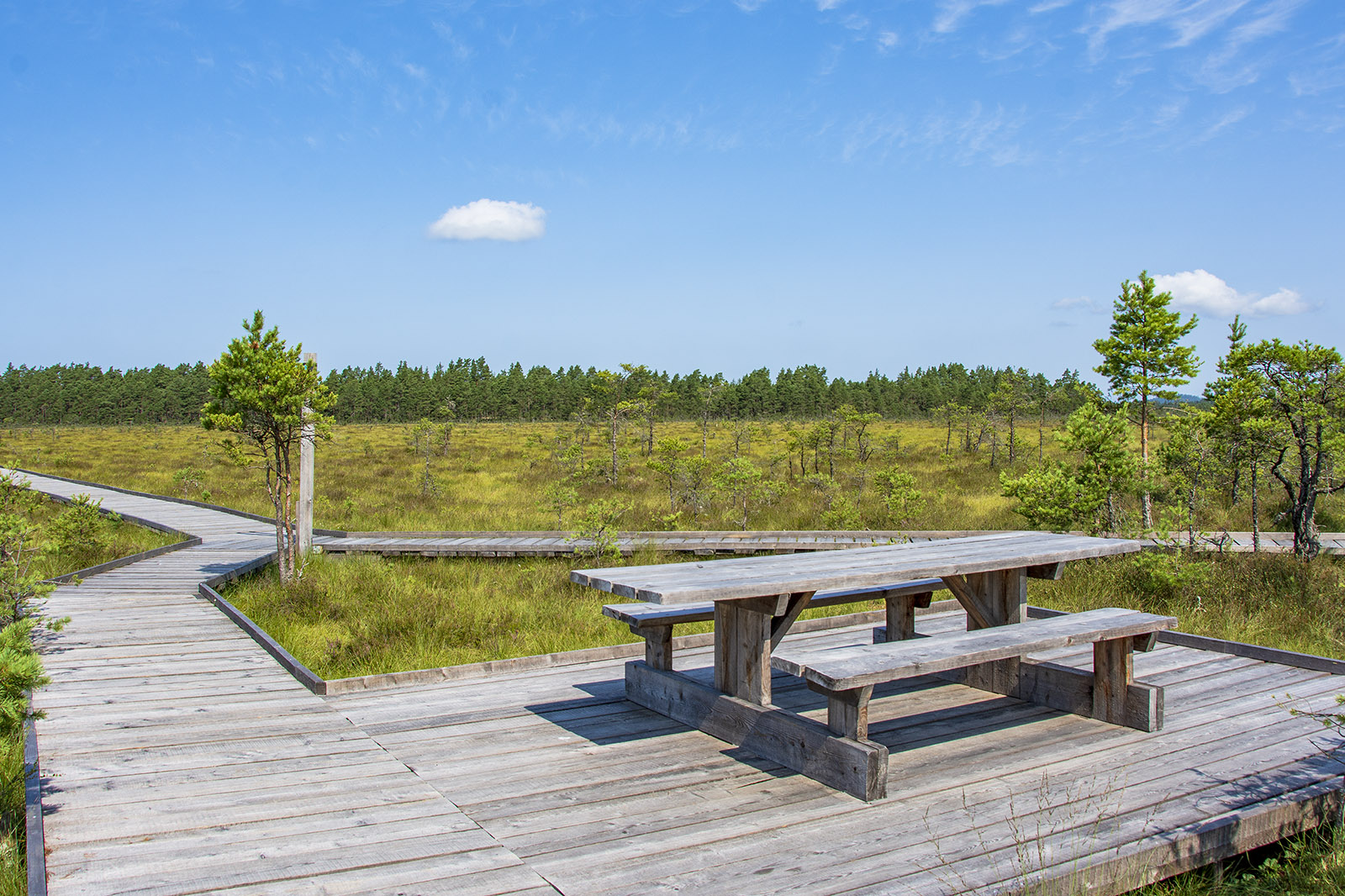 Rastplats Svartgölsleden Store Mosse Nationalpark