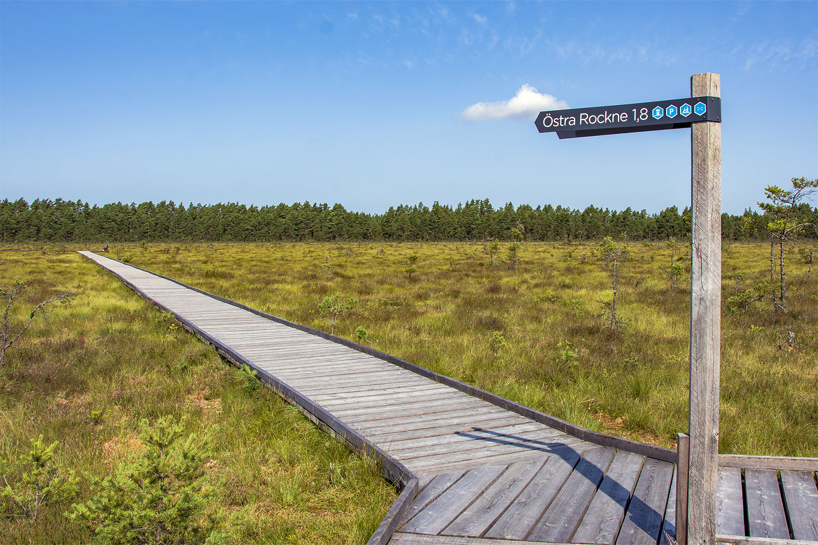 Svartgölsleden Store Mosse Nationalpark