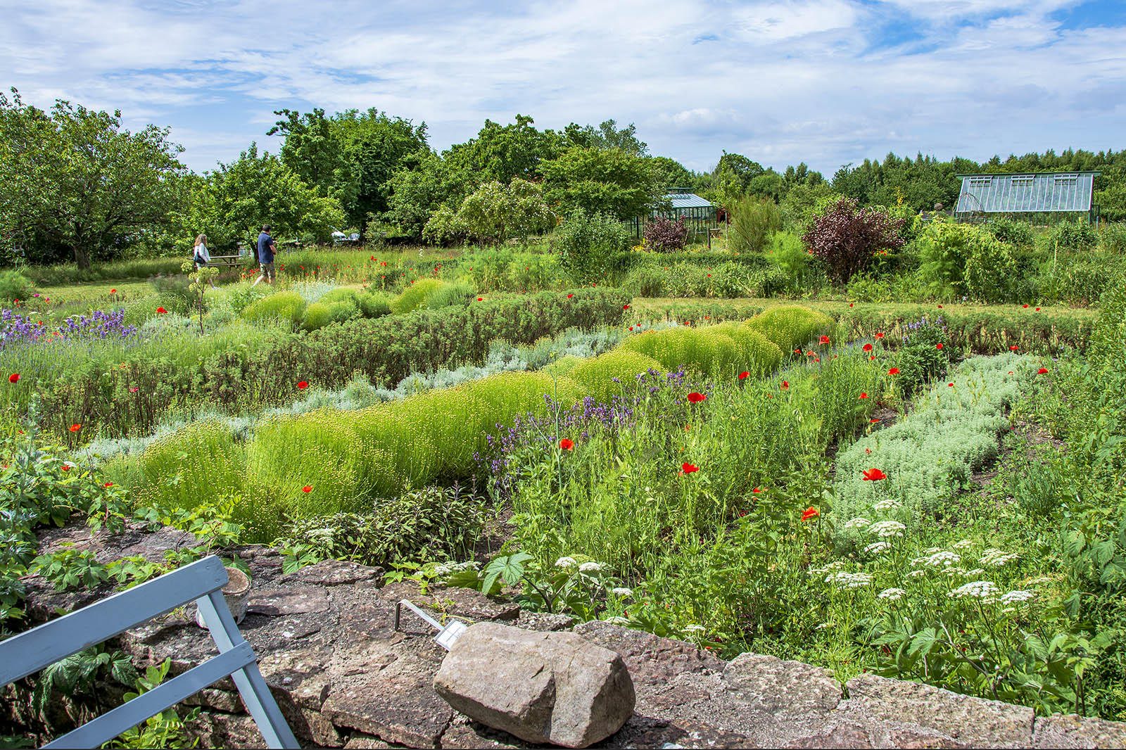 Capellagården Vickleby Öland