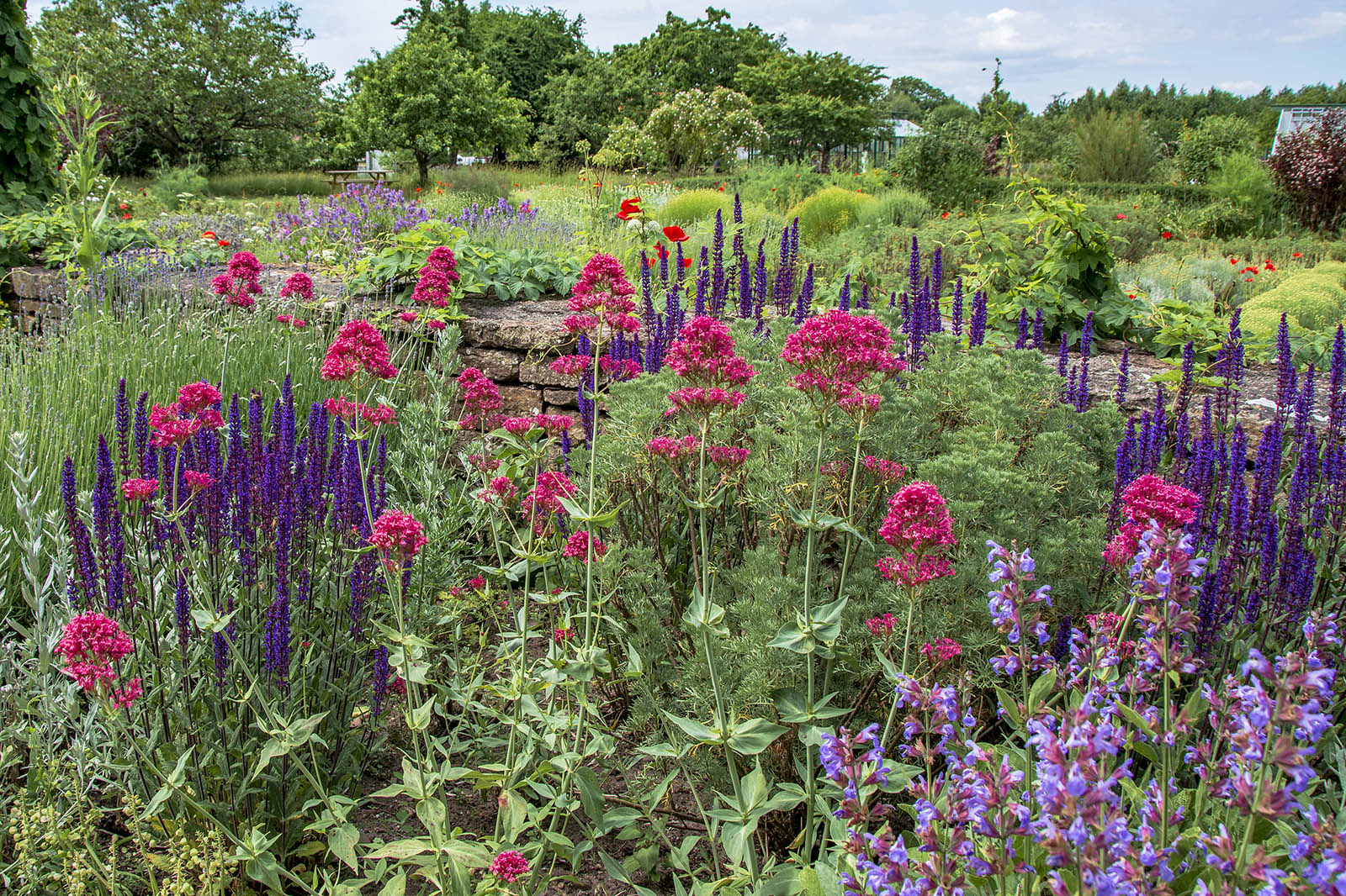 Capellagården Vickleby Öland