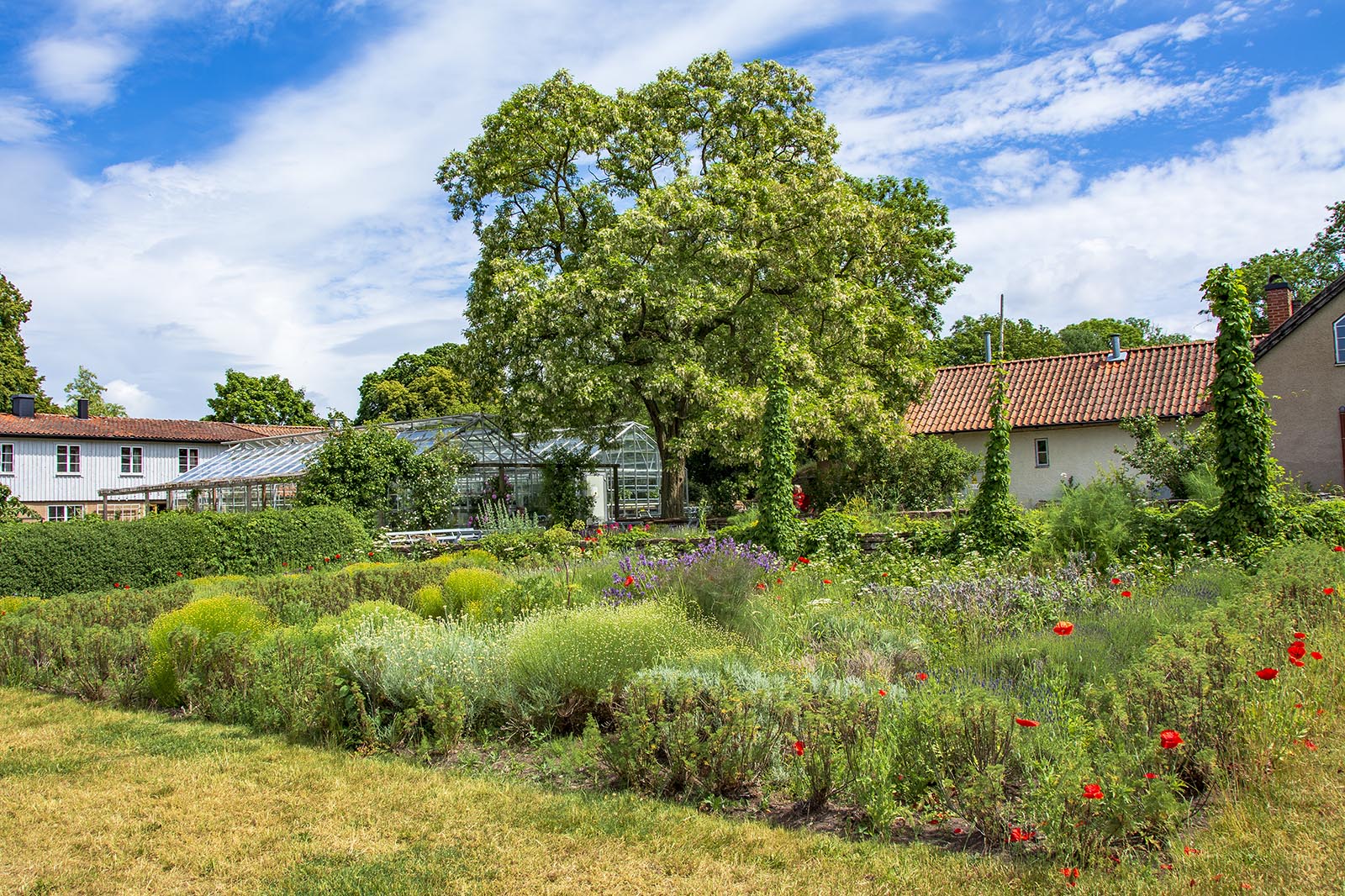 Capellagården Vickleby Öland