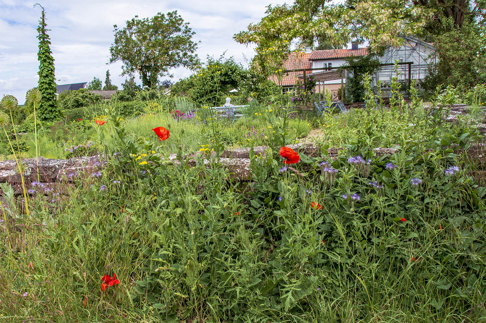 Capellagården Vickleby Öland