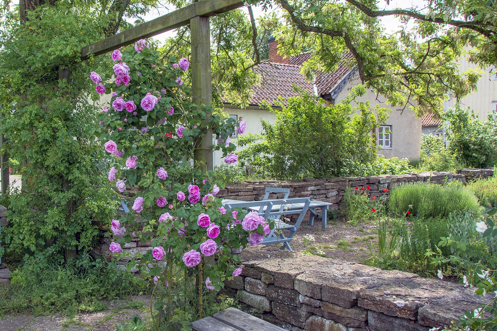 Capellagården Vickleby Öland