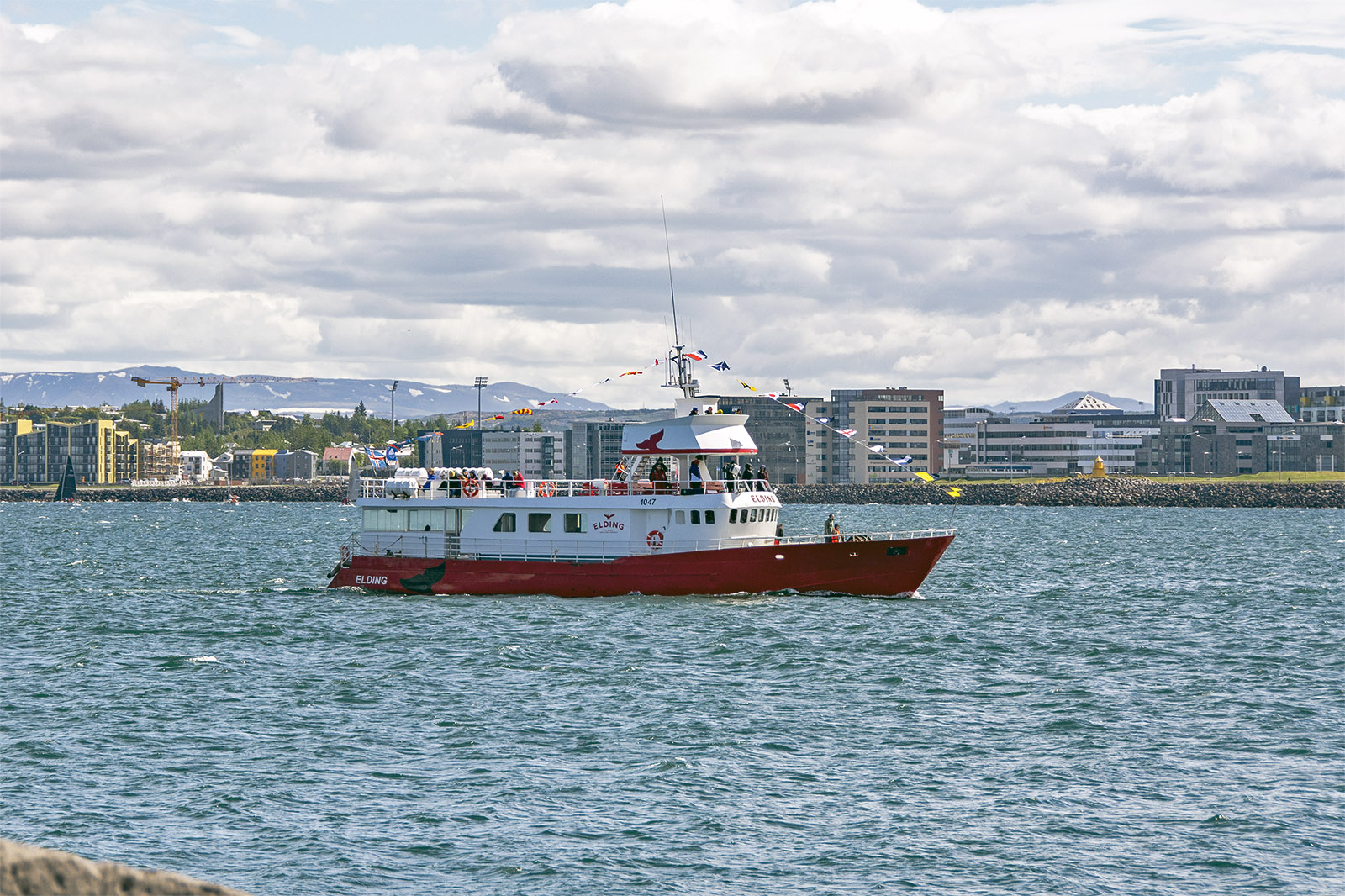 Hamnen Reykjavik Island