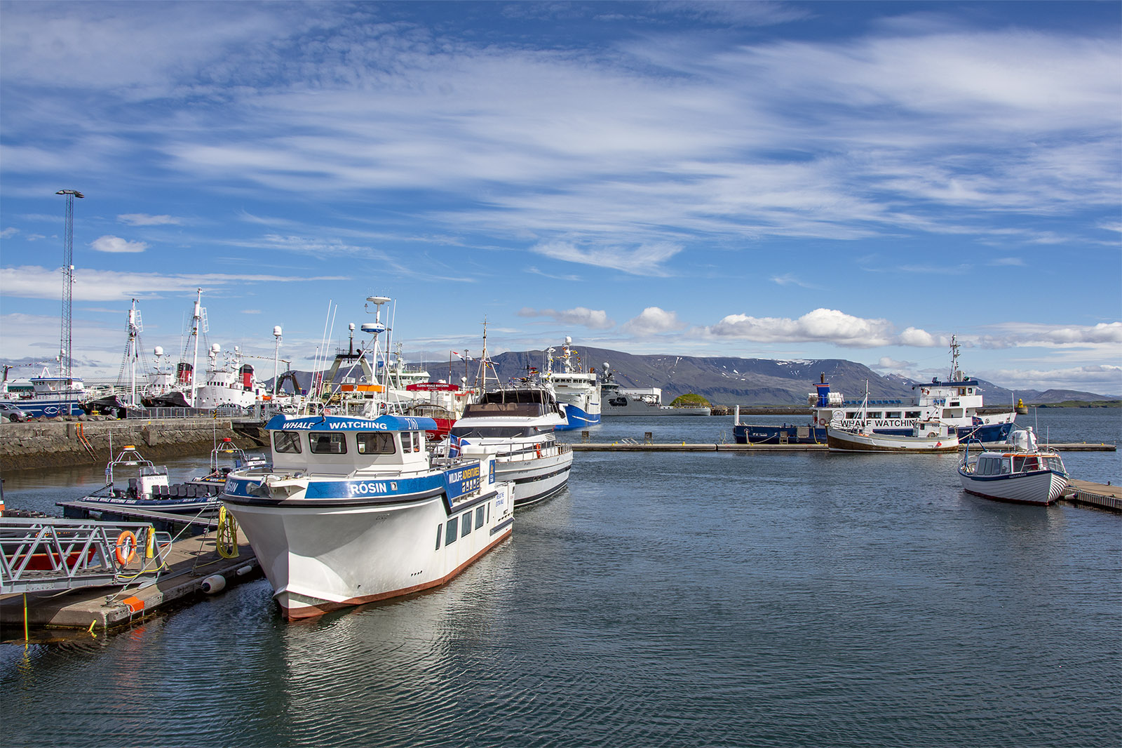 Gamla hamnen Reykjavik Island