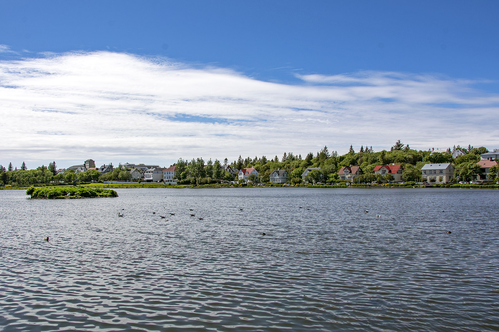 Tjörnin Reykjavik Island