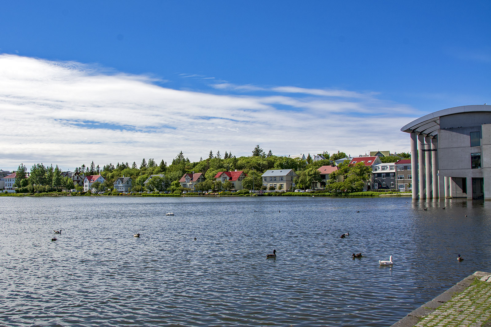 Tjörnin Reykjavik Island