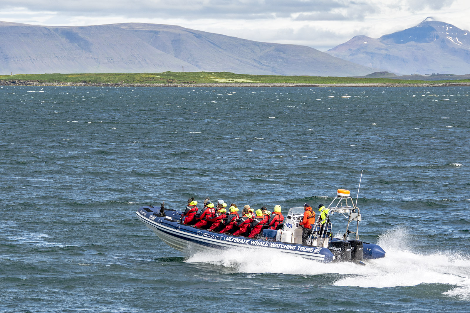 Whale watching Reykjavik Island