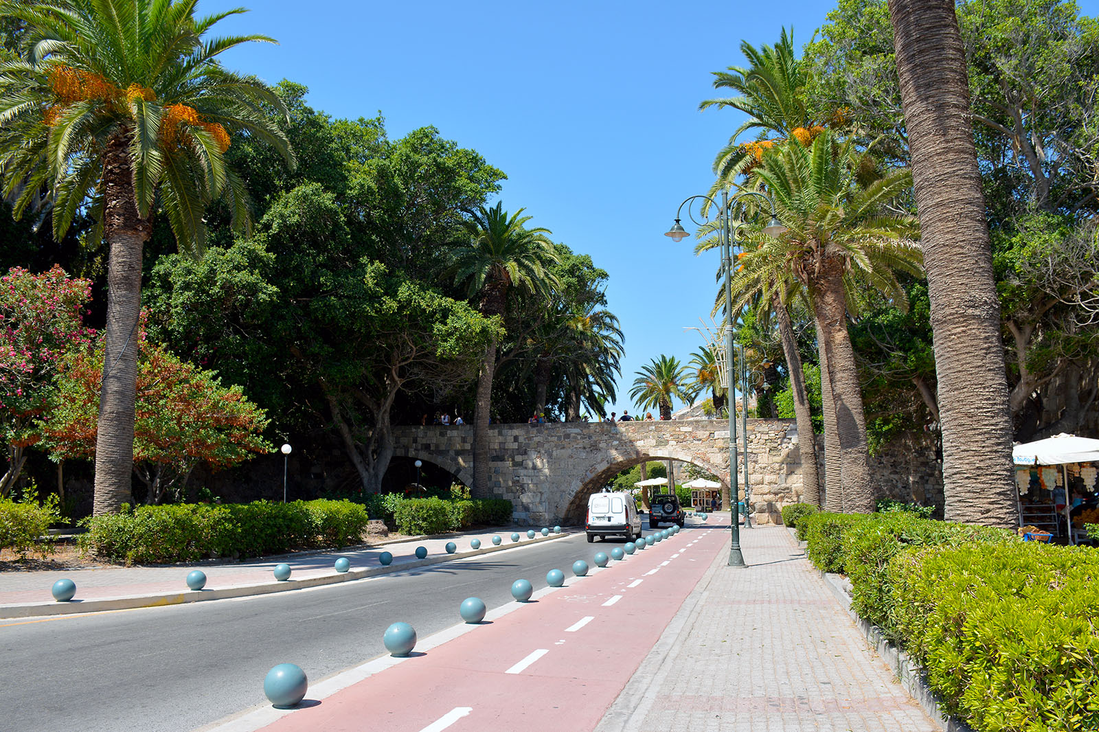 Palm Trees Avenue i Kos stad Grekland