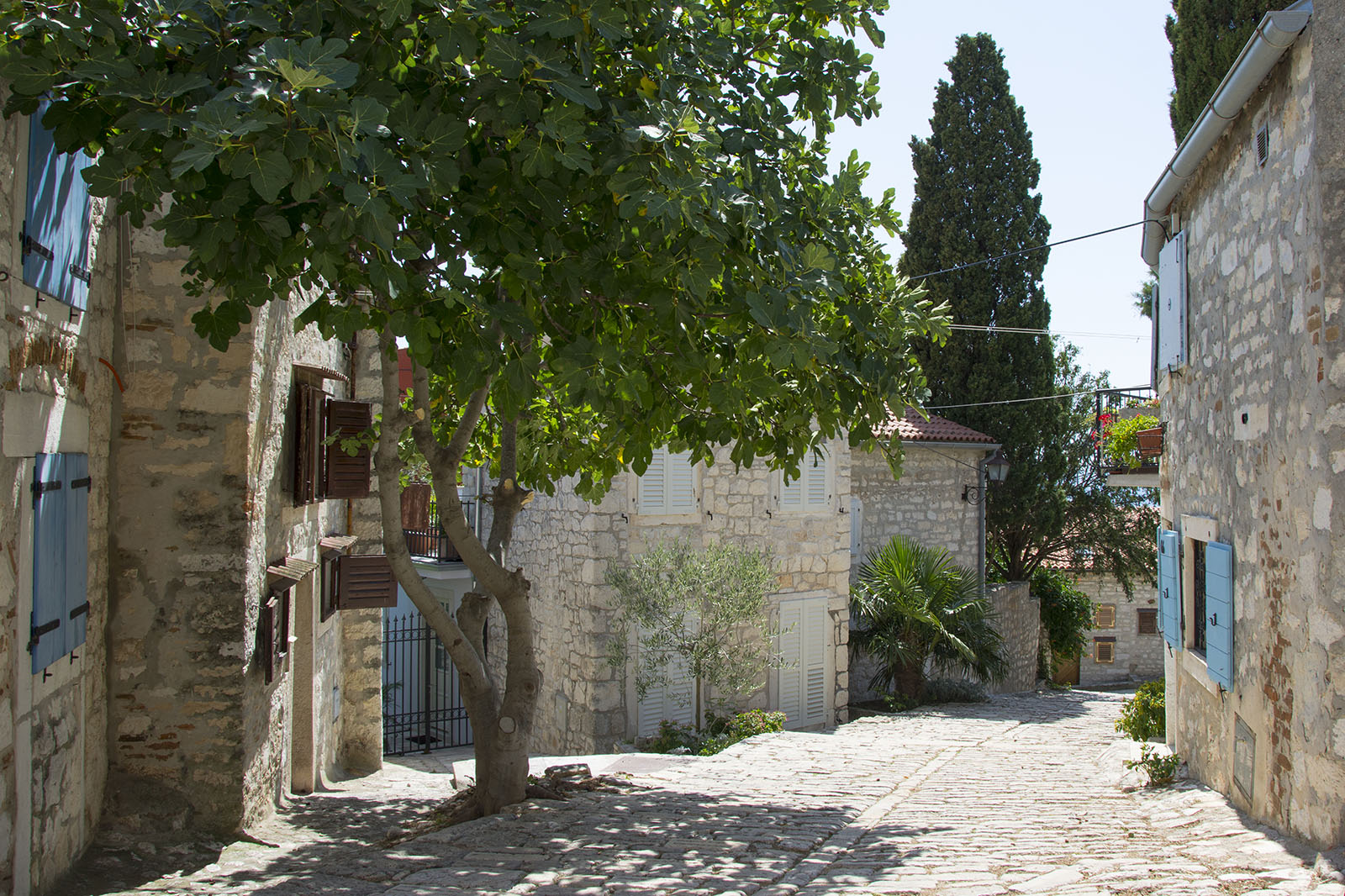 Rovinj, Istrien, Kroatien