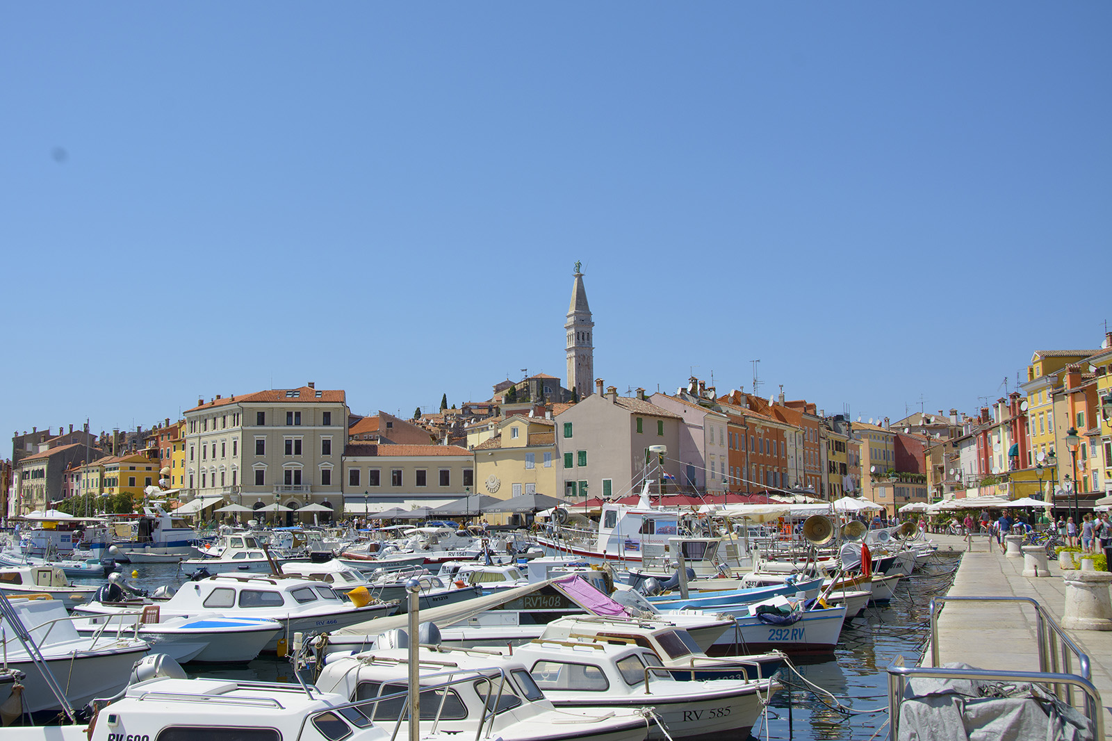 Rovinj i Istrien, Kroatien