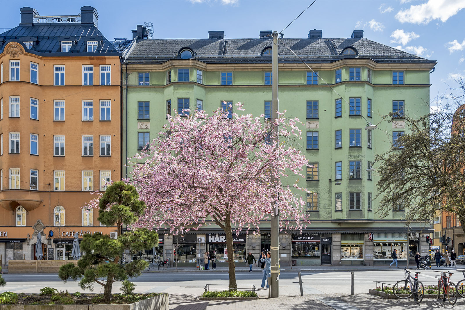 Körsbärsblommor Bysistorget