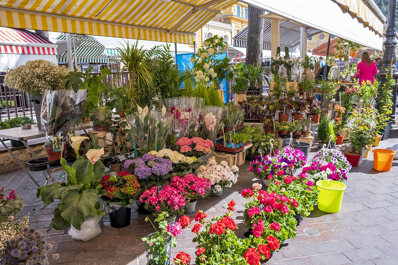 Cours Saleya Nice