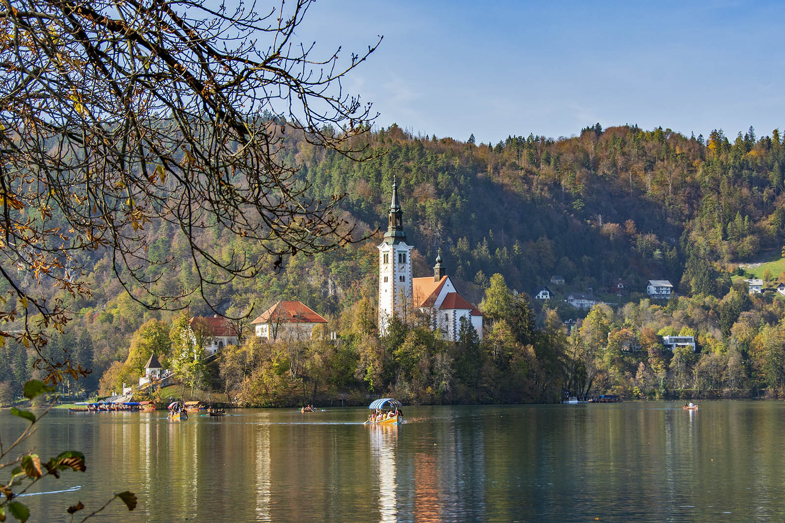 Lake Bled island and church