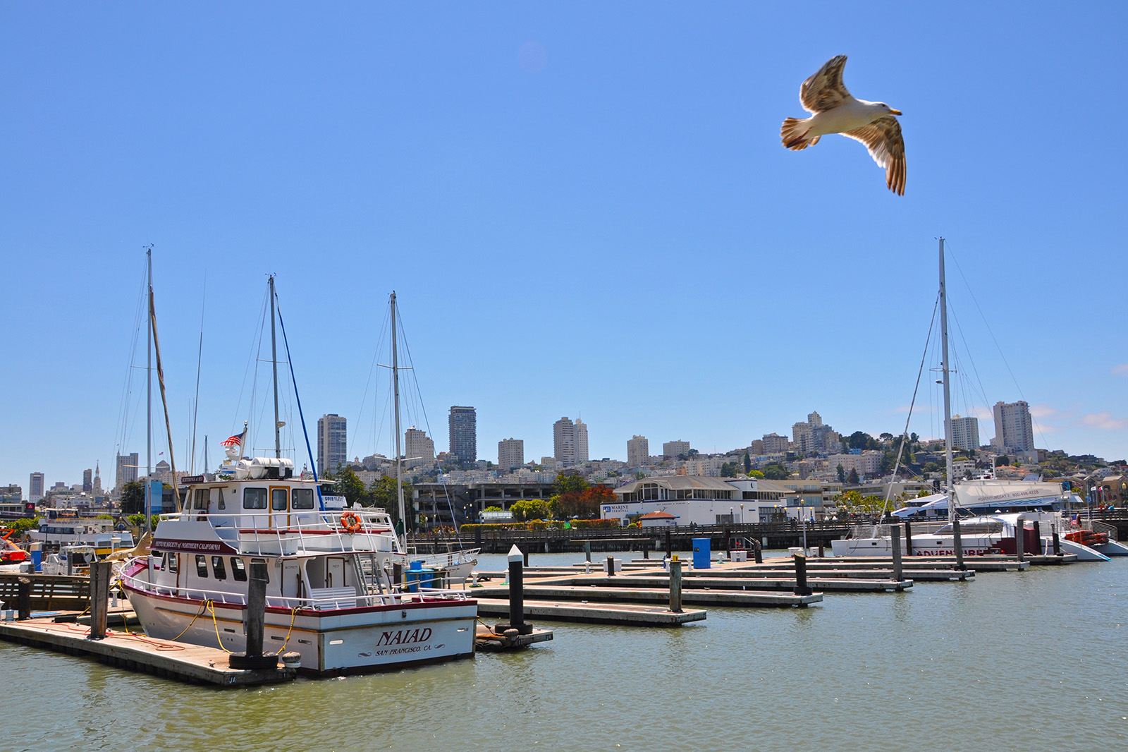 Fishermans Wharf San Francisco