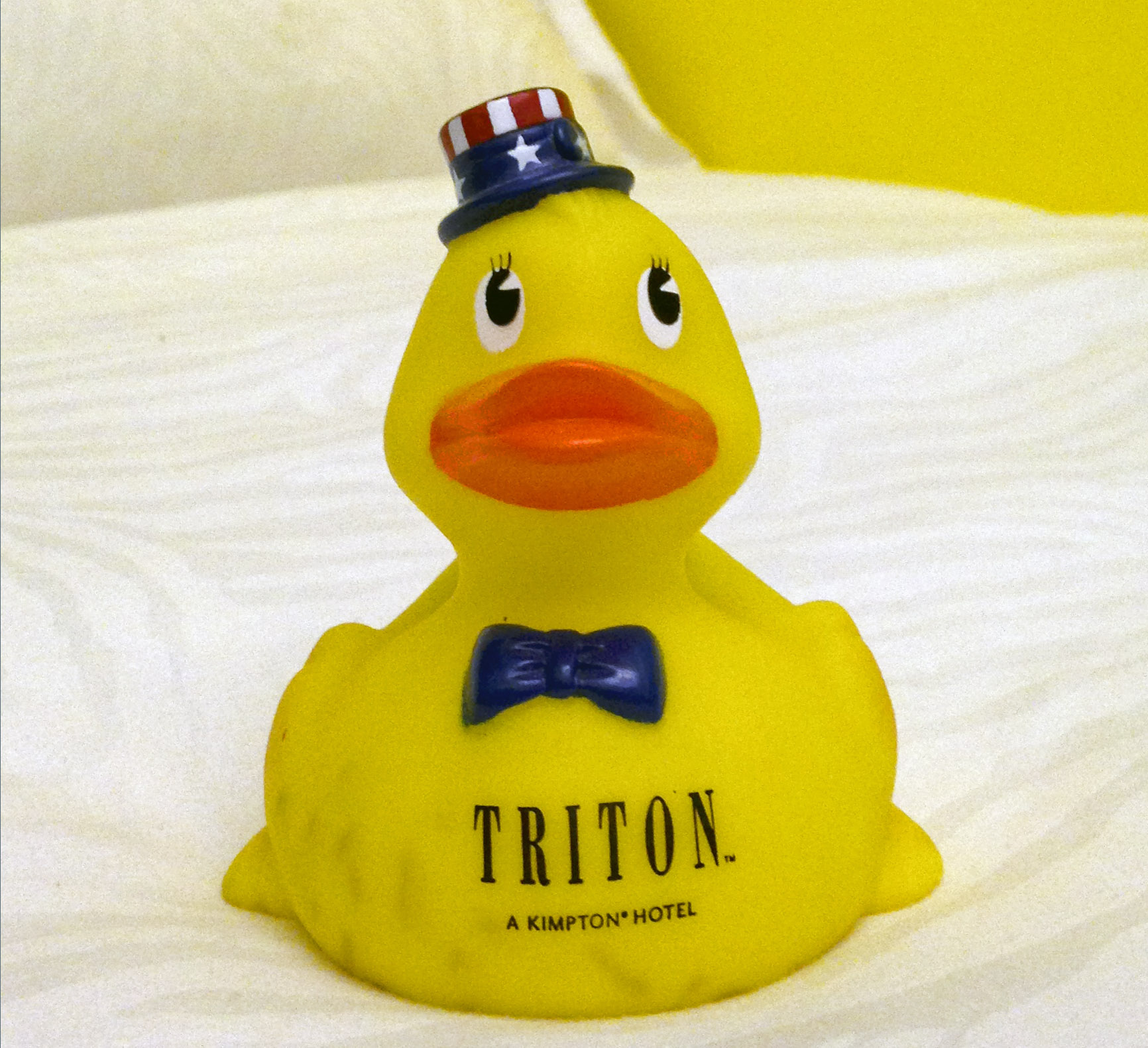 Hotel Triton